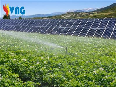 Solar power with agriculture